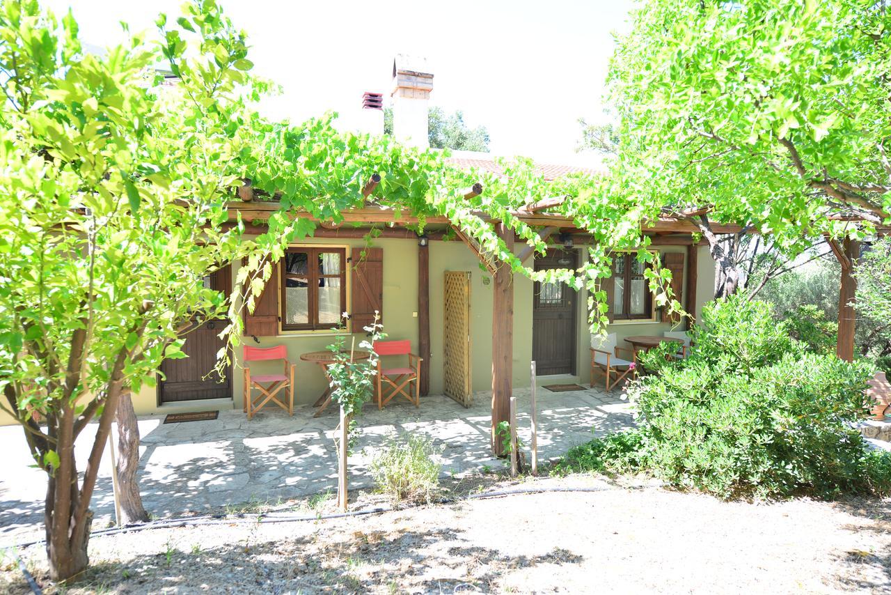 Apartament Viglatoras Sárkhos Zewnętrze zdjęcie